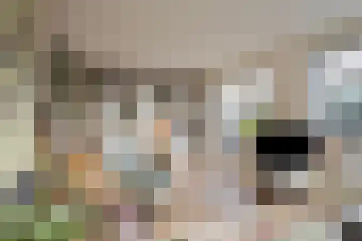 Vaanakker 19 Mierlo thumbnail 18