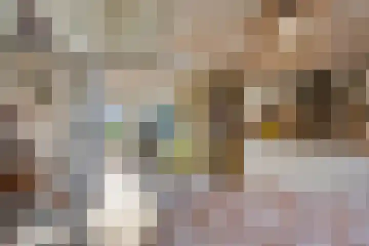 Vaanakker 19 Mierlo thumbnail 19