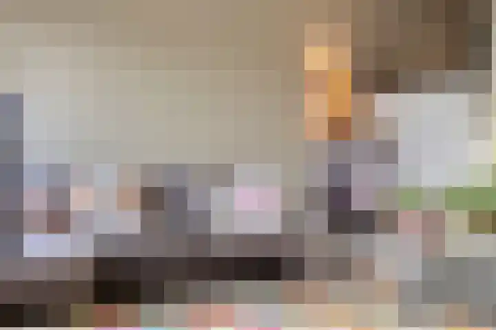 Vaanakker 19 Mierlo thumbnail 23