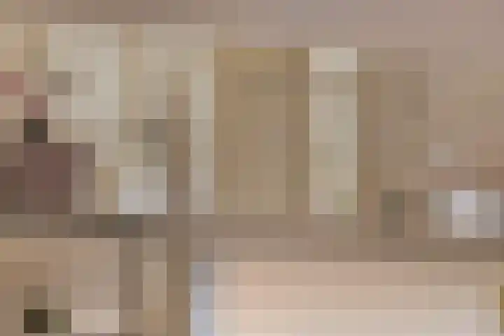 Vaanakker 19 Mierlo thumbnail 24