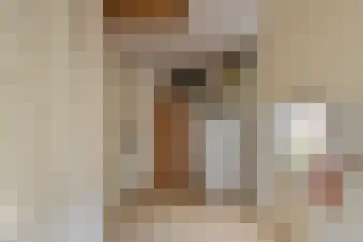 Vaanakker 19 Mierlo thumbnail 25