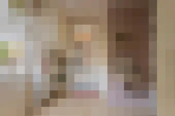 Vaanakker 19 Mierlo thumbnail 26