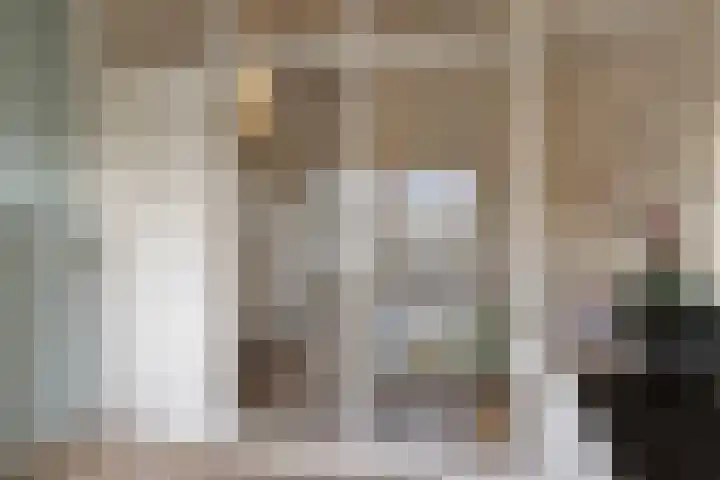Vaanakker 19 Mierlo thumbnail 28
