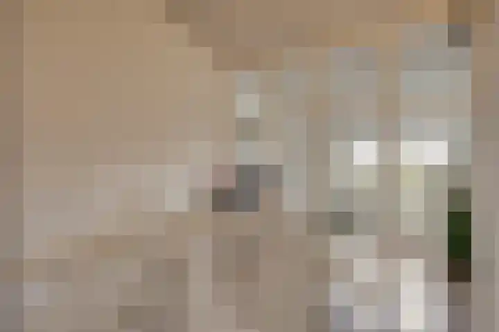 Vaanakker 19 Mierlo thumbnail 29