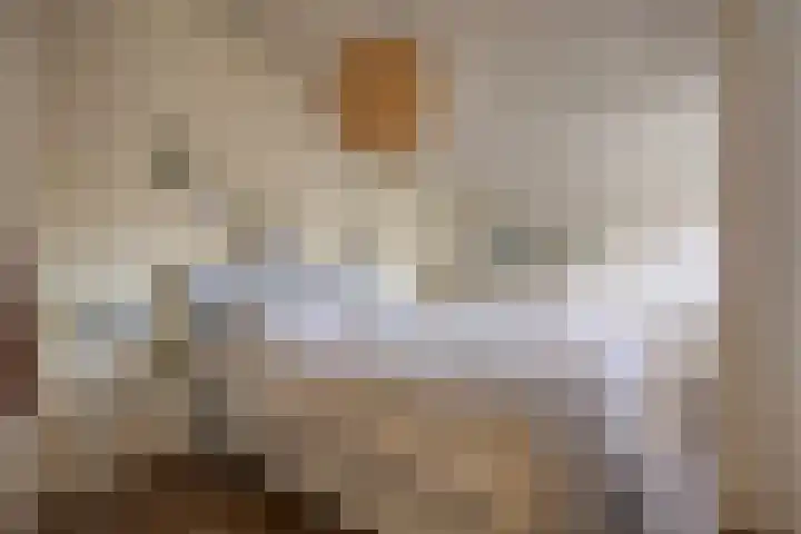 Vaanakker 19 Mierlo thumbnail 30