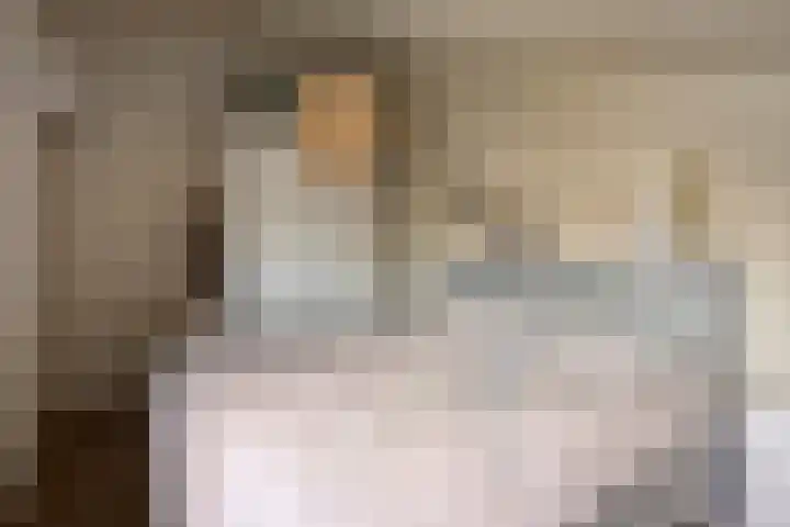 Vaanakker 19 Mierlo thumbnail 31