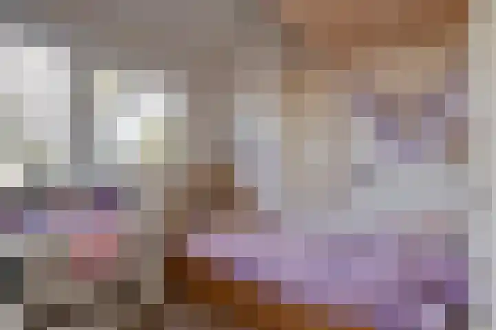 Vaanakker 19 Mierlo thumbnail 32