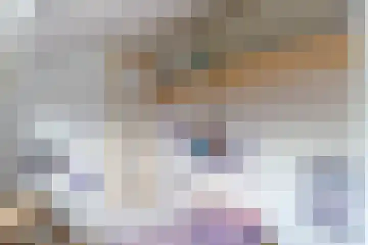 Vaanakker 19 Mierlo thumbnail 33