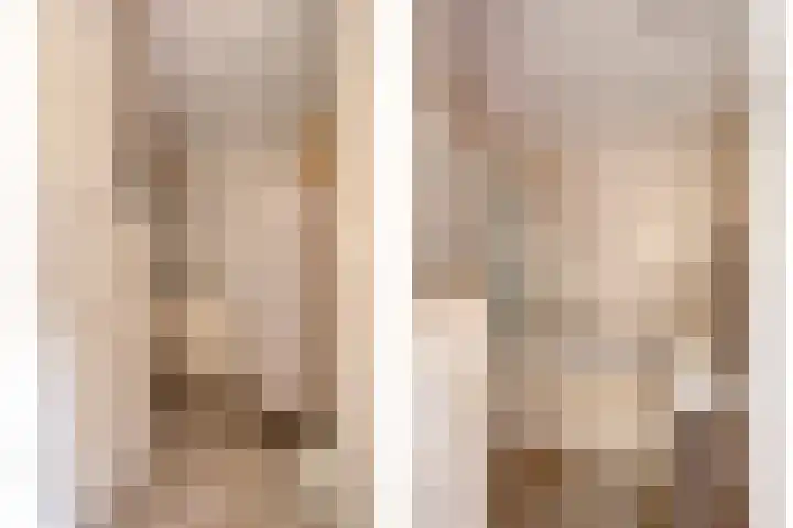 Vaanakker 19 Mierlo thumbnail 34