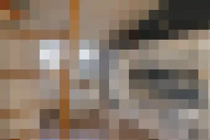 Vaanakker 19 Mierlo thumbnail 36