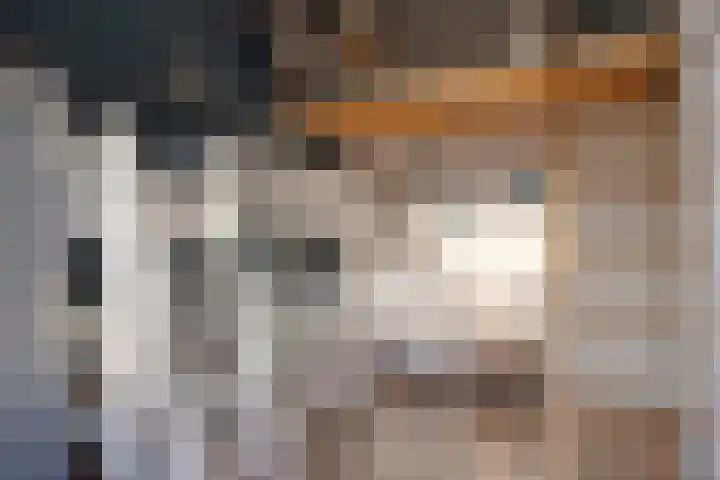 Vaanakker 19 Mierlo thumbnail 37