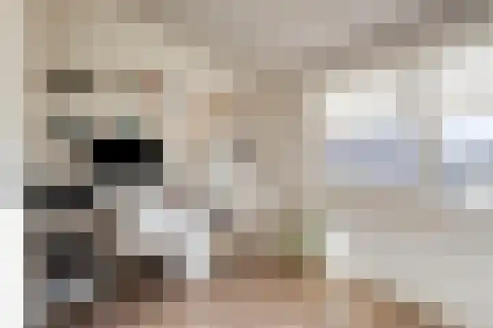Vaanakker 19 Mierlo thumbnail 38
