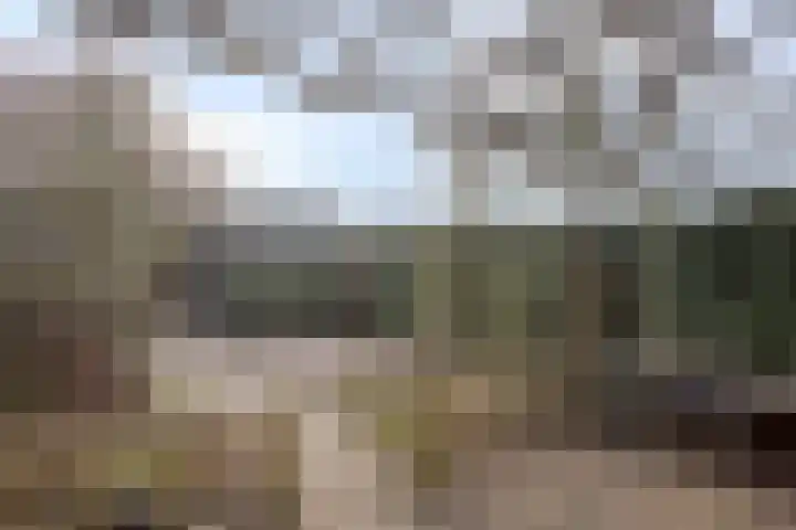 Vaanakker 19 Mierlo thumbnail 39