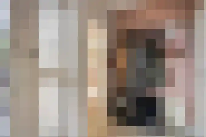 Vaanakker 19 Mierlo thumbnail 4