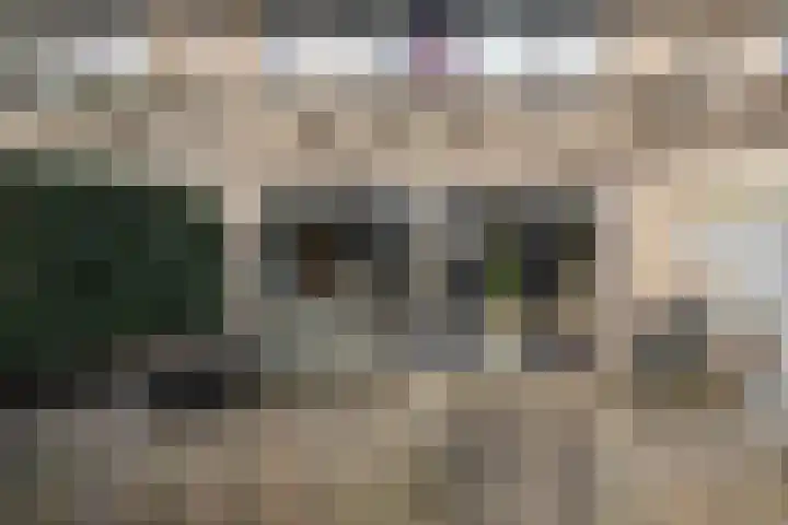 Vaanakker 19 Mierlo thumbnail 40
