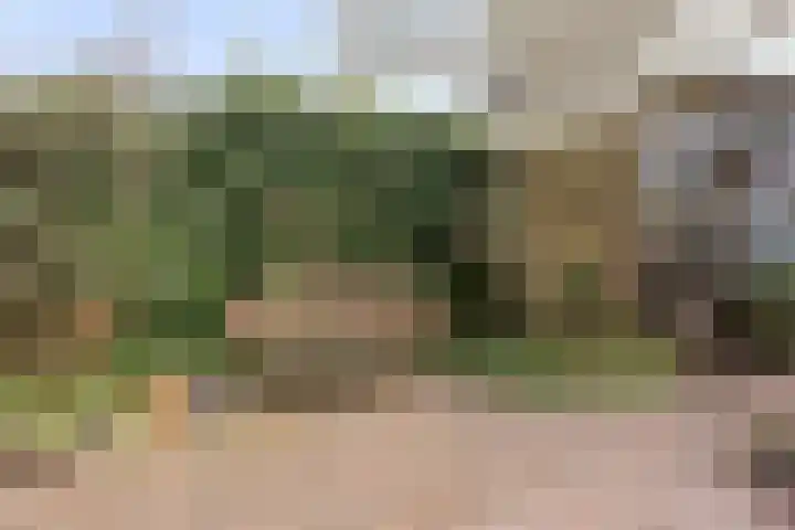 Vaanakker 19 Mierlo thumbnail 41