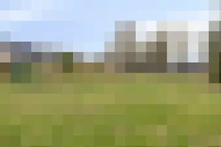 Vaanakker 19 Mierlo thumbnail 43