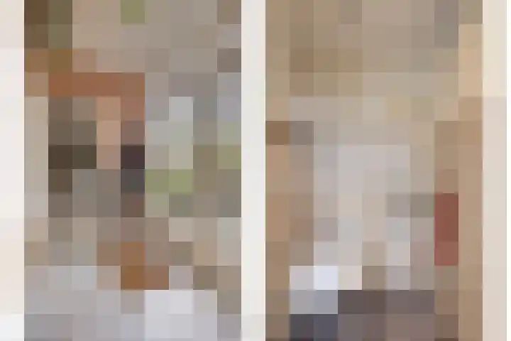 Vaanakker 19 Mierlo thumbnail 5