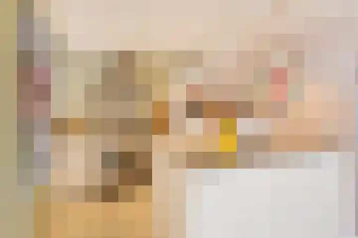 Vaanakker 19 Mierlo thumbnail 6