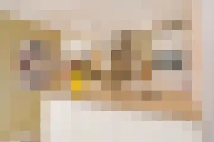 Vaanakker 19 Mierlo thumbnail 8