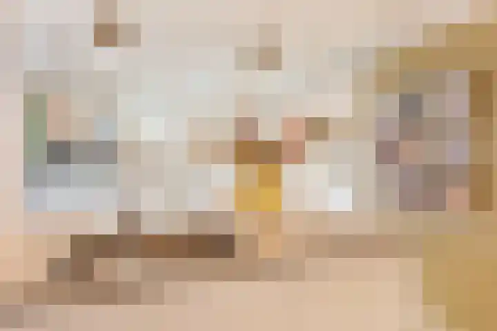 Vaanakker 19 Mierlo thumbnail 9