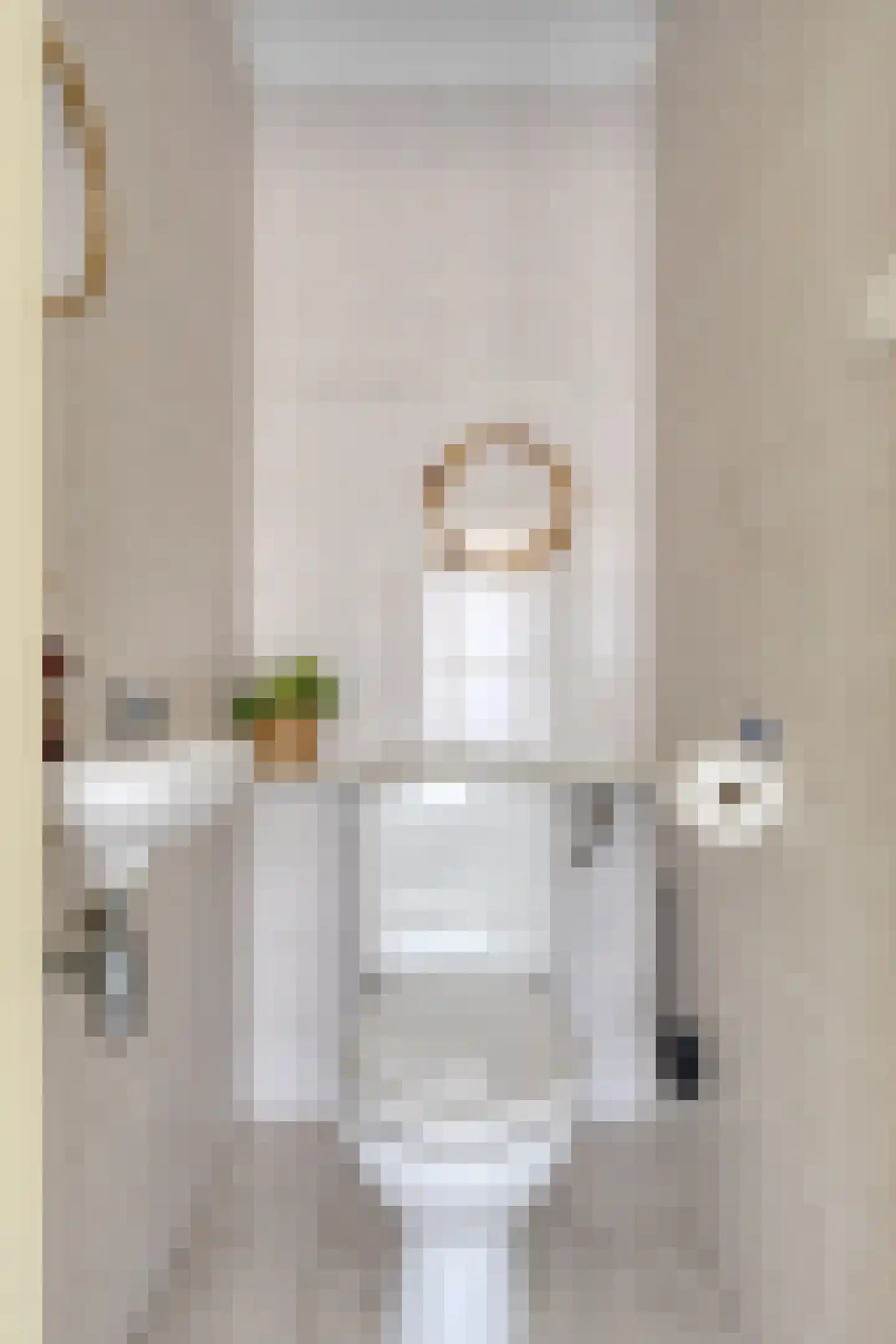 Vaanakker 35 Mierlo thumbnail 11