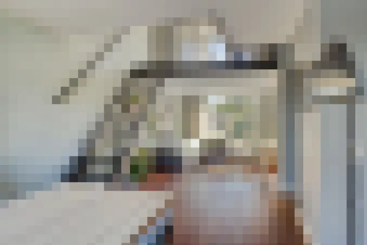 Vaanakker 35 Mierlo thumbnail 14