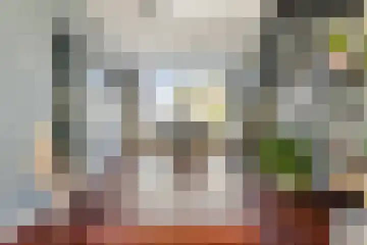 Vaanakker 35 Mierlo thumbnail 17
