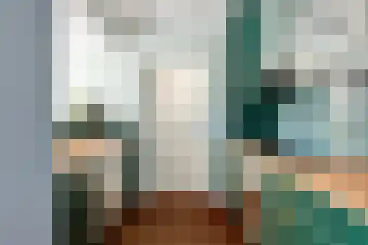 Vaanakker 35 Mierlo thumbnail 19