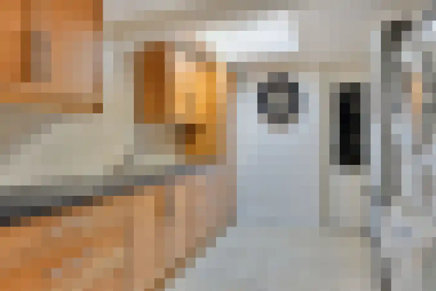 Vaanakker 35 Mierlo thumbnail 24