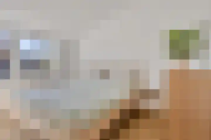 Vaanakker 35 Mierlo thumbnail 29