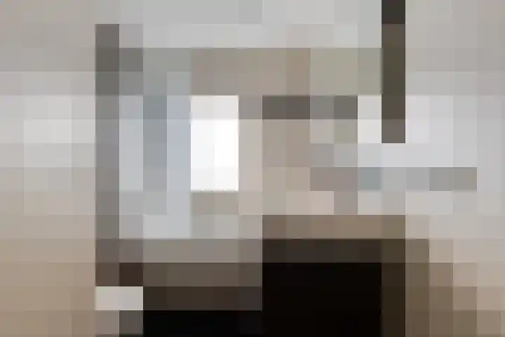 Vaanakker 35 Mierlo thumbnail 31