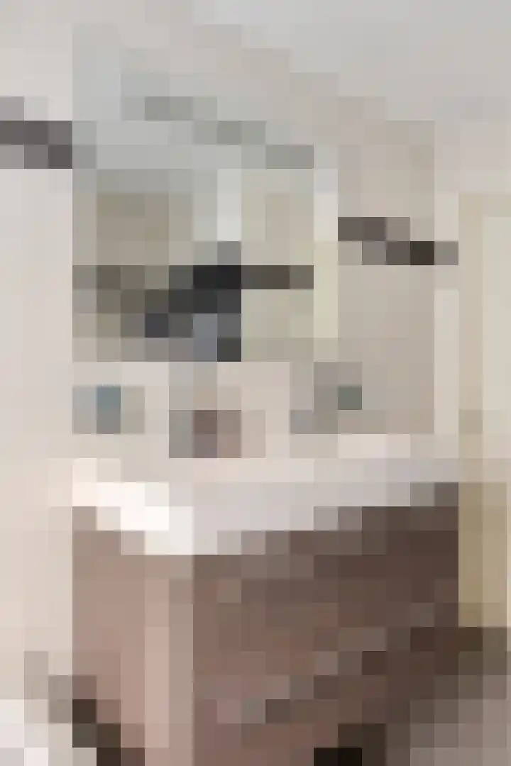 Vaanakker 35 Mierlo thumbnail 33