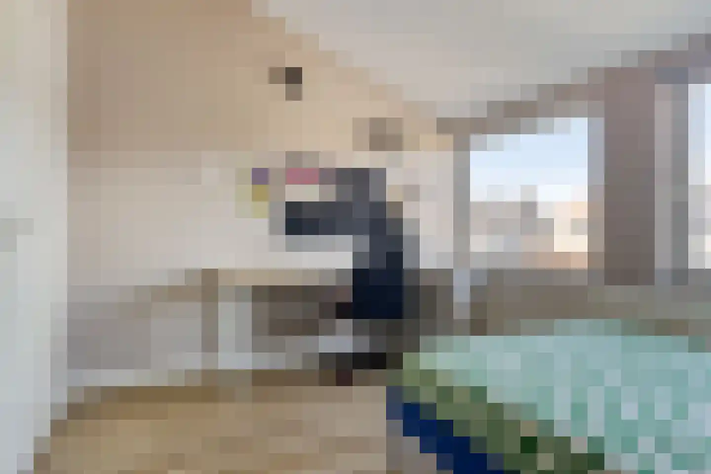 Vaanakker 35 Mierlo thumbnail 37