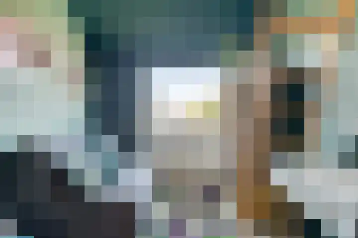 Vaanakker 35 Mierlo thumbnail 37