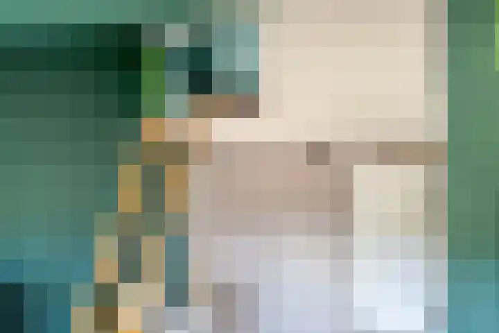 Vaanakker 35 Mierlo thumbnail 39