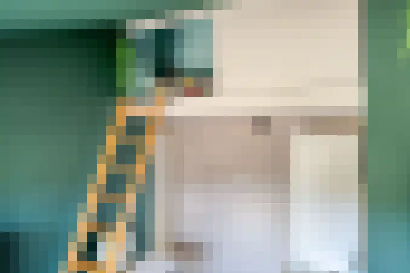 Vaanakker 35 Mierlo thumbnail 40
