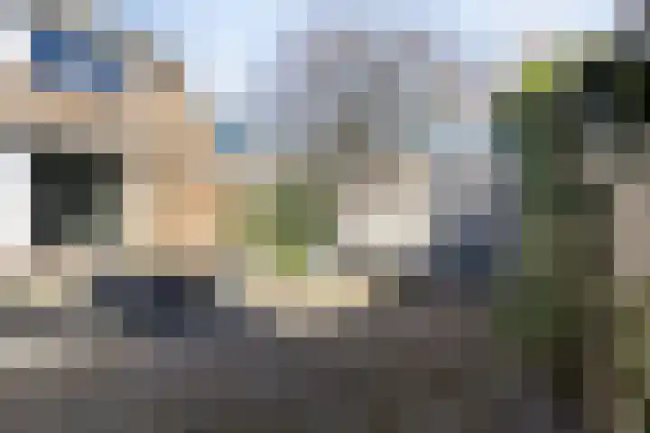 Vaanakker 35 Mierlo thumbnail 40