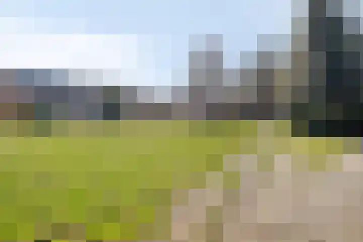 Vaanakker 35 Mierlo thumbnail 44