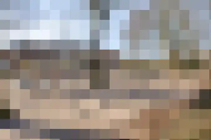 Vaanakker 35 Mierlo thumbnail 45