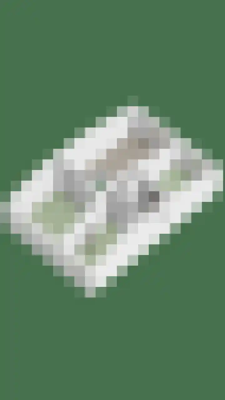 Vaanakker 35 Mierlo thumbnail 51