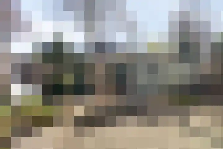 Vaanakker 35 Mierlo thumbnail 6