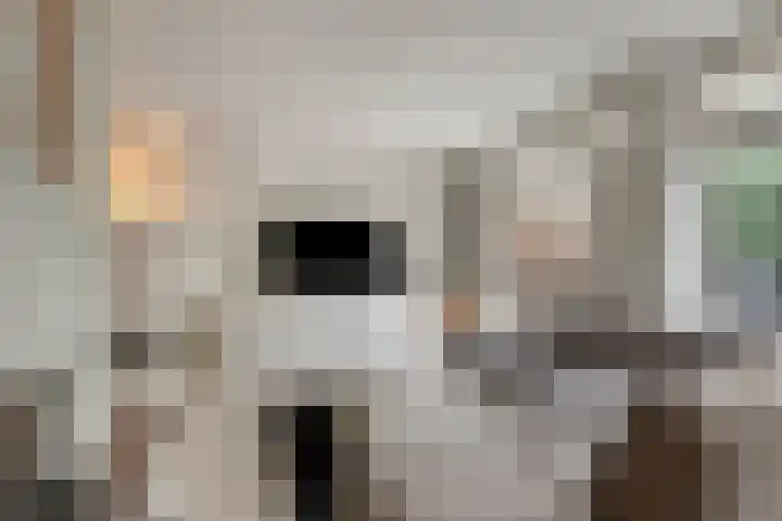Vaanakker 43 Mierlo thumbnail 12