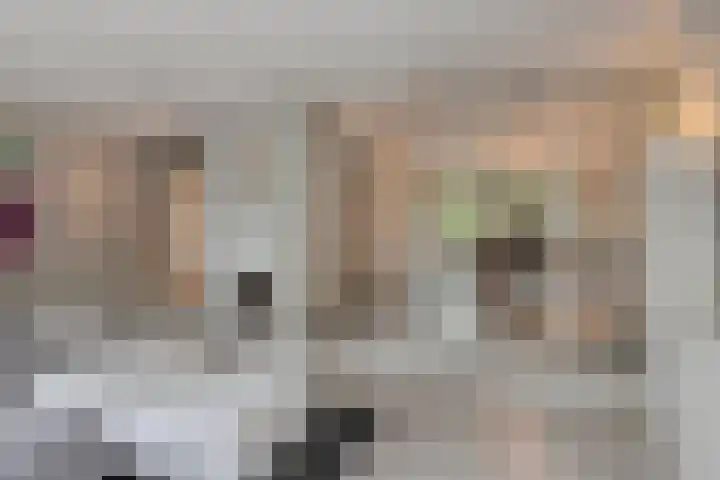 Vaanakker 43 Mierlo thumbnail 13