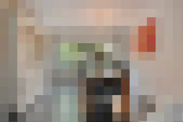 Vaanakker 43 Mierlo thumbnail 15