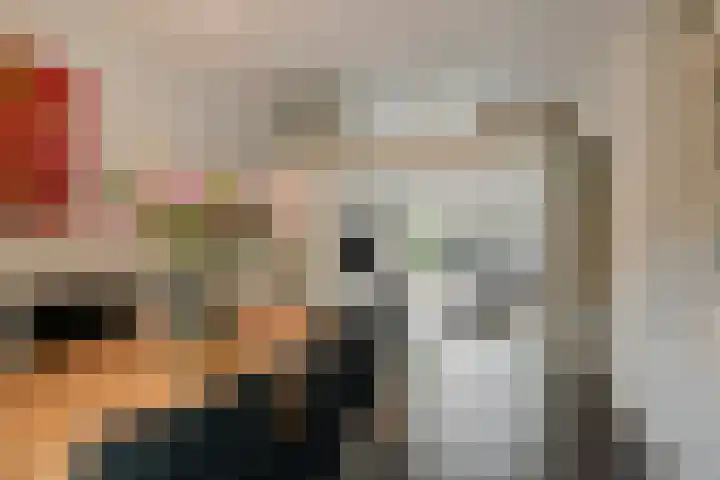 Vaanakker 43 Mierlo thumbnail 16
