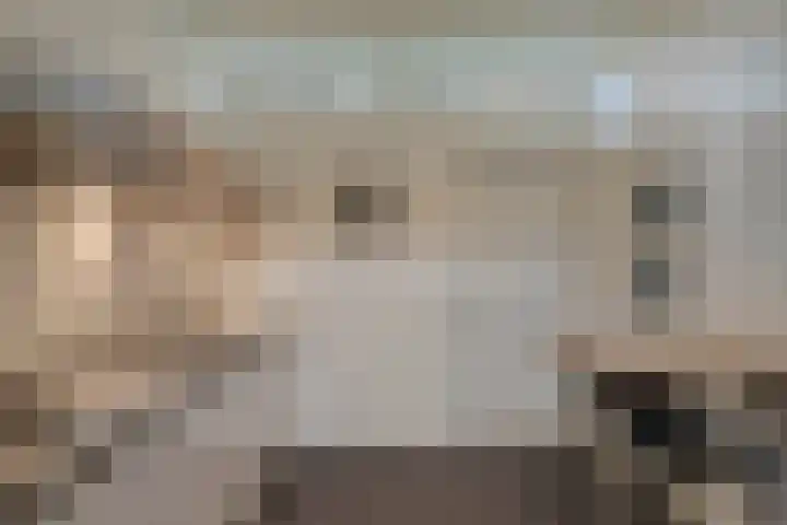Vaanakker 43 Mierlo thumbnail 20