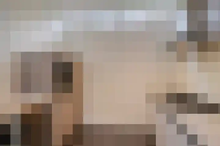 Vaanakker 43 Mierlo thumbnail 21