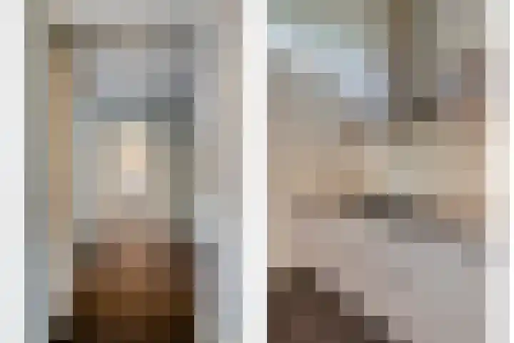 Vaanakker 43 Mierlo thumbnail 22
