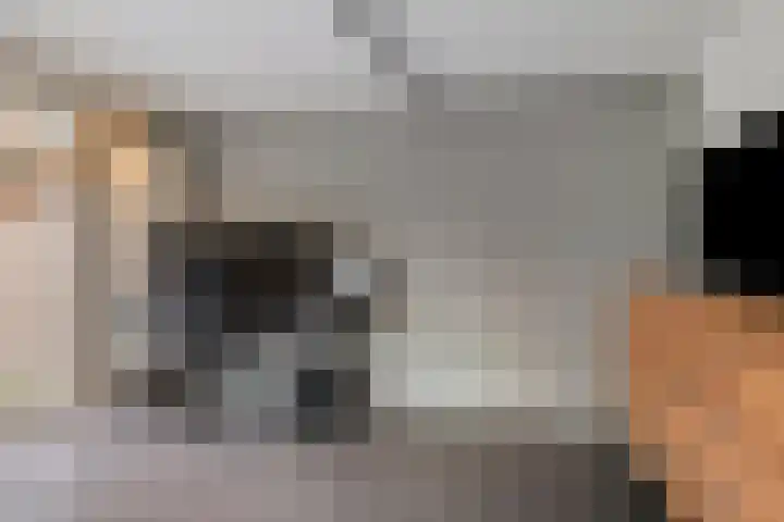 Vaanakker 43 Mierlo thumbnail 23